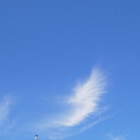 さよならの夏