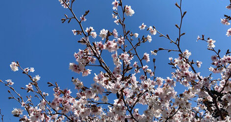 4月のまとめ